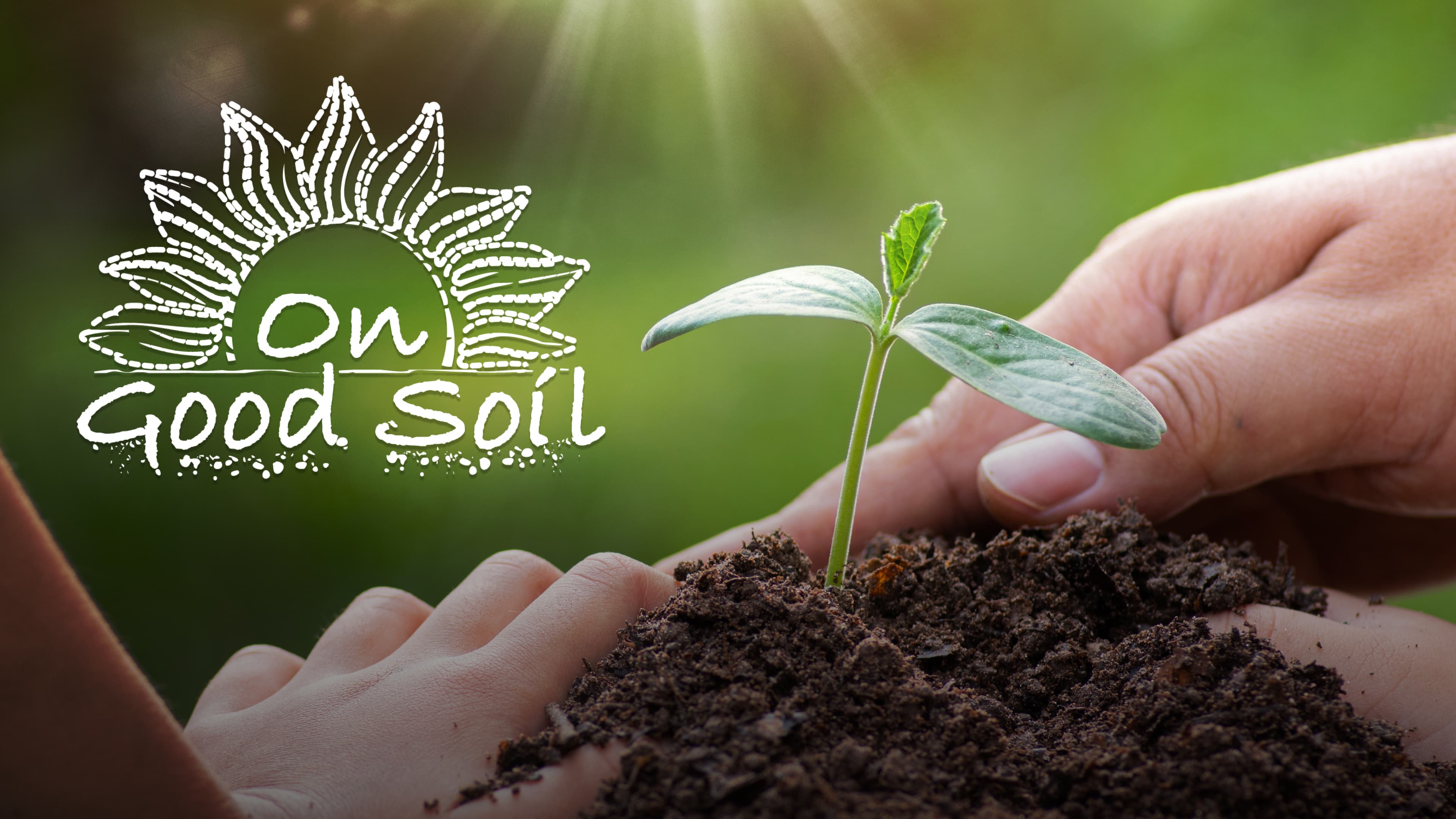 On Good Soil