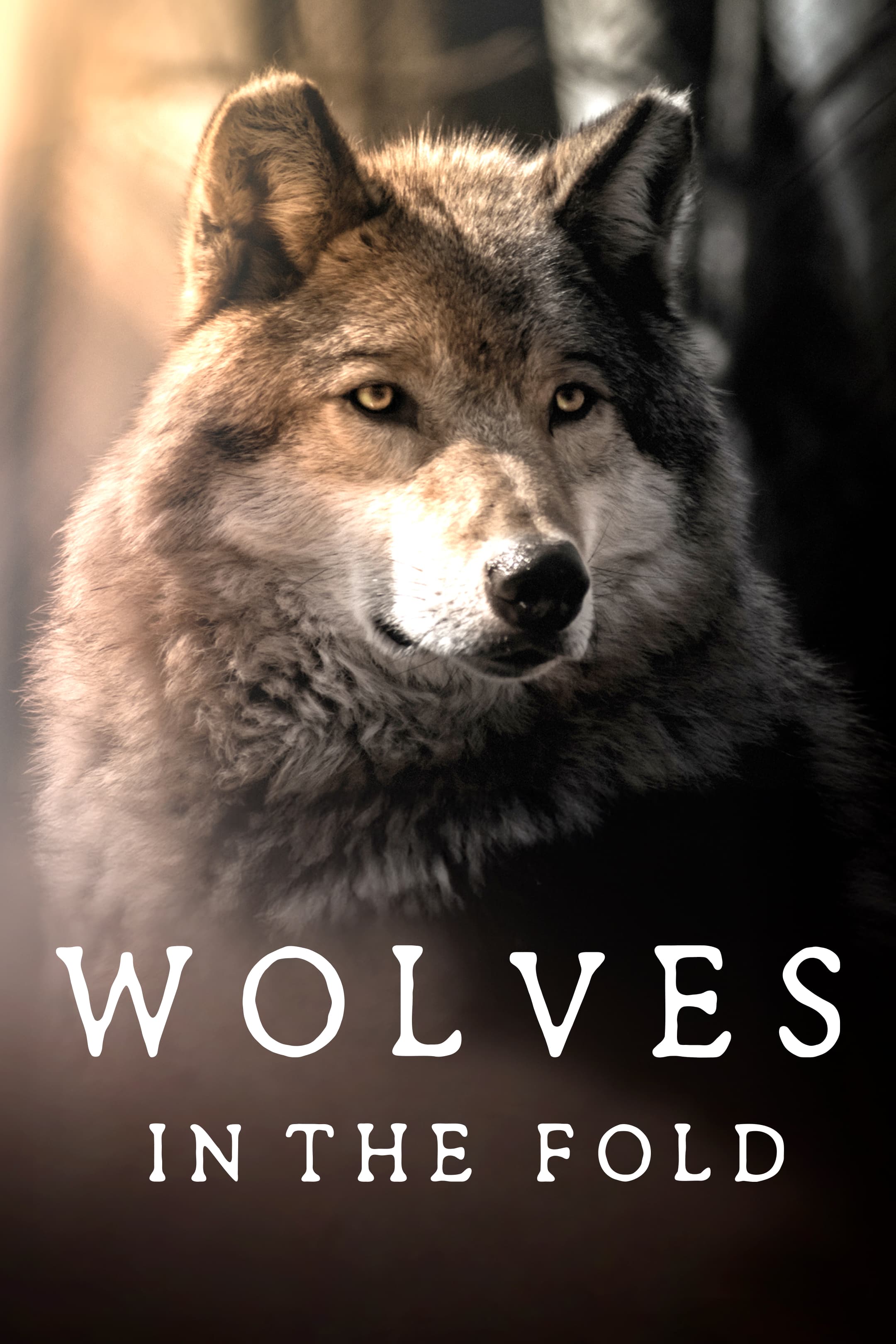 Wolves in the Fold
