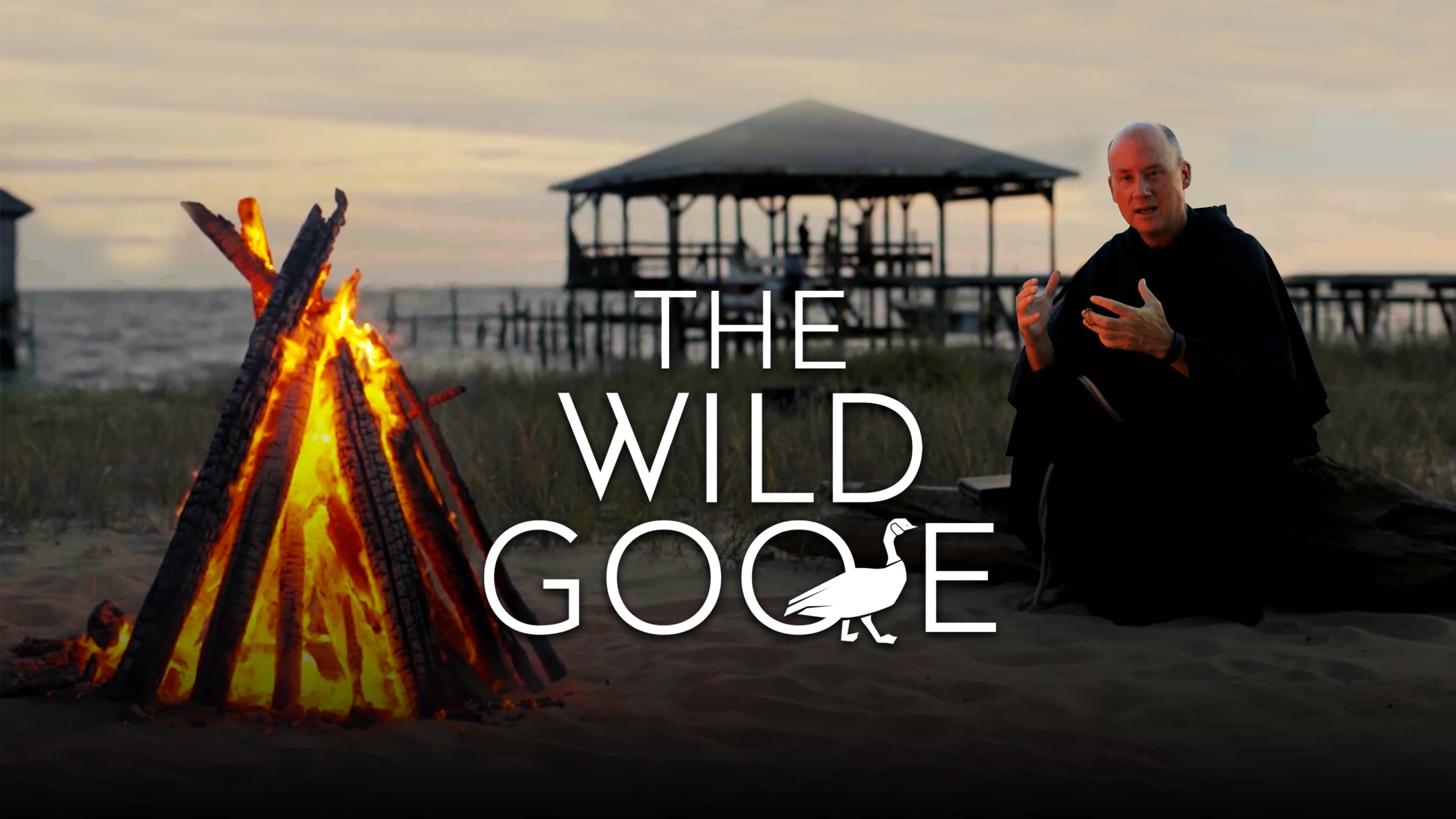 The Wild Goose
