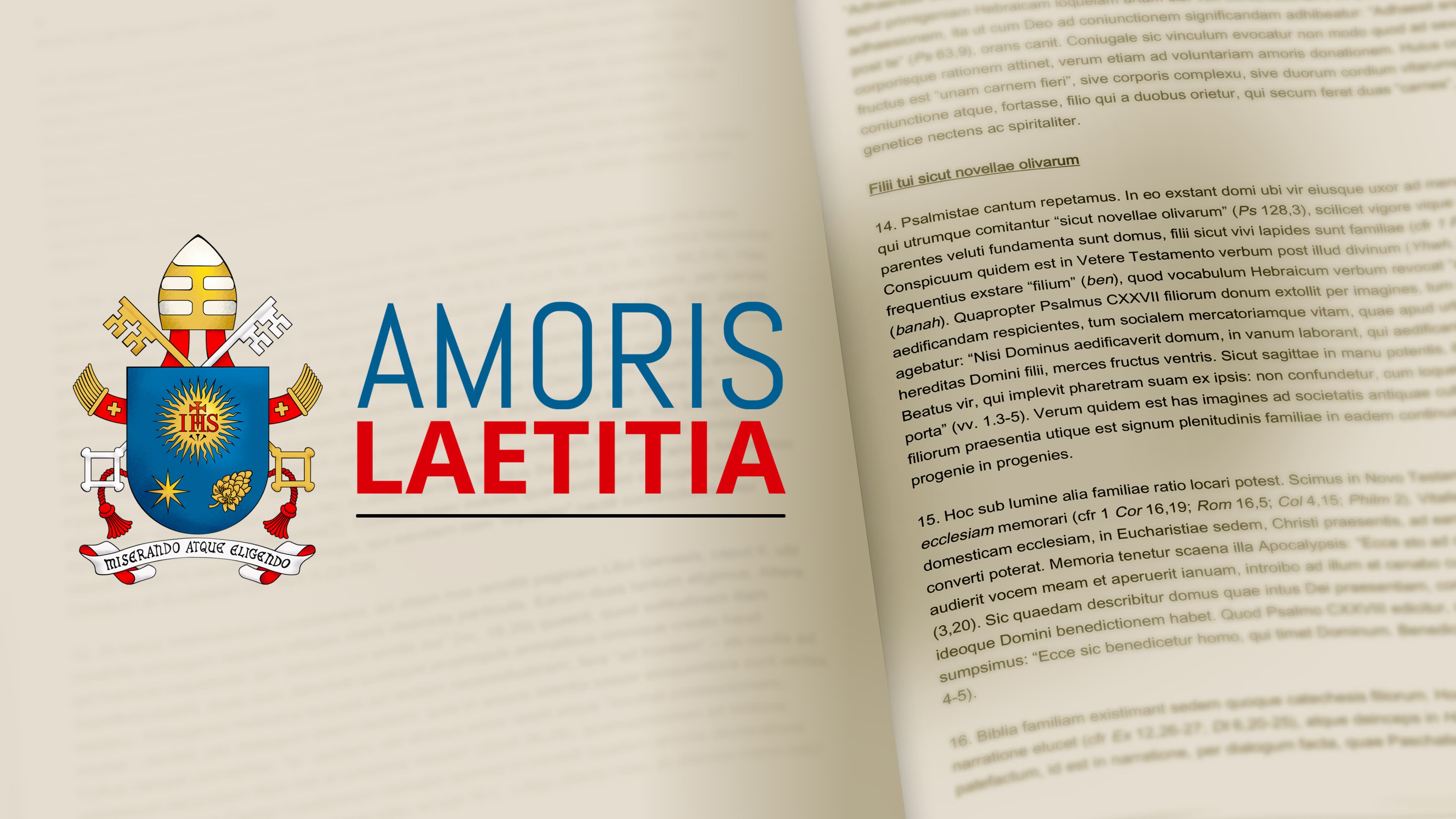 Amoris laetitia - la alegria del amor